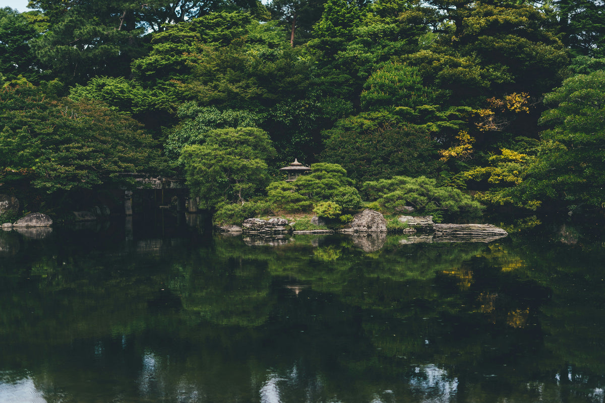日本の美しく研ぎ澄まされた強さを、世界へ。